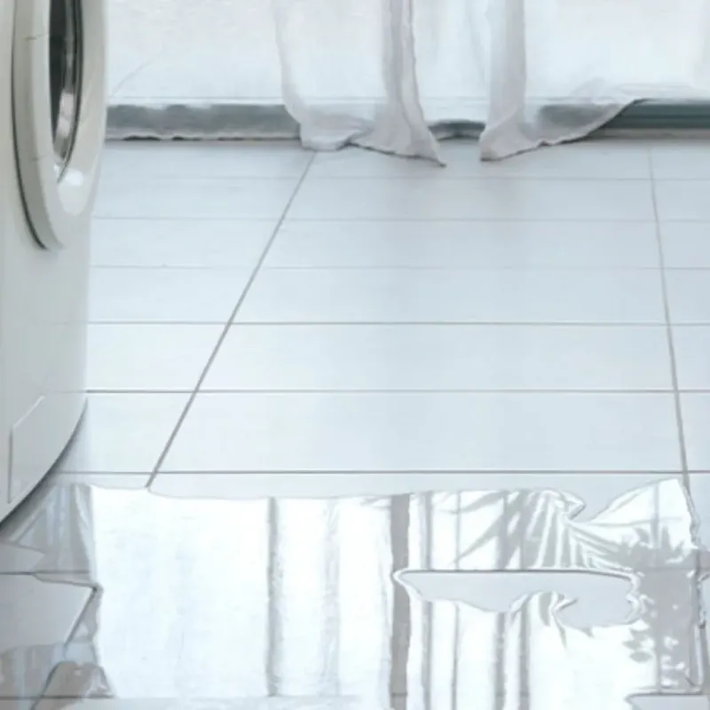 Appliance Leak Cleanup in Bayboro, NC