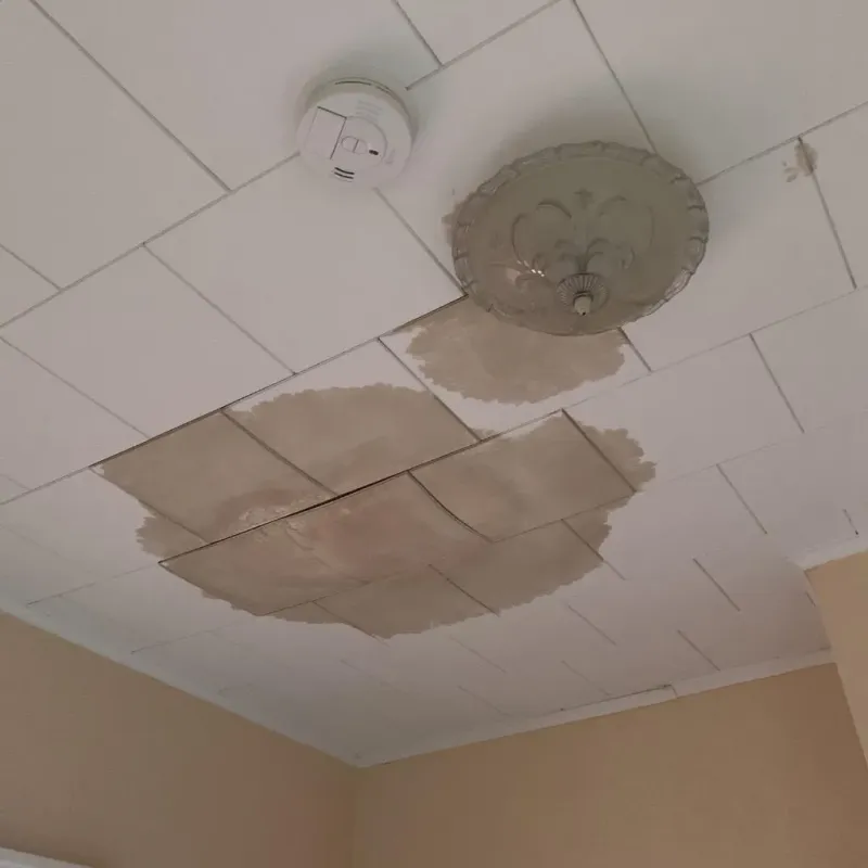 Ceiling Water Damage Repair in Bayboro, NC