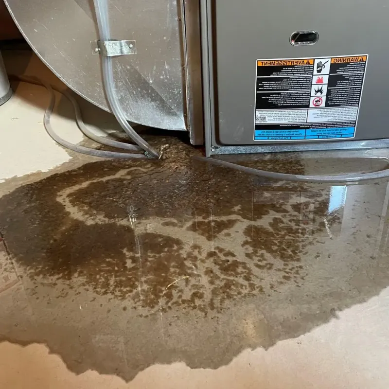 Pipe Burst and Leak Restoration in Bayboro, NC