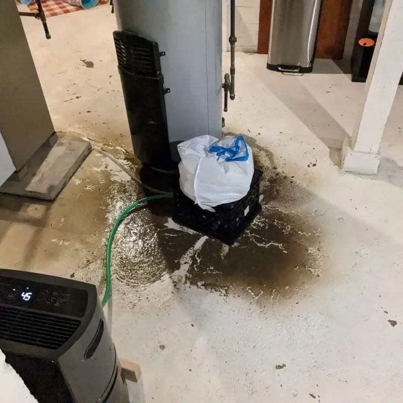 Sewage Backup Cleanup Service in Bayboro, NC